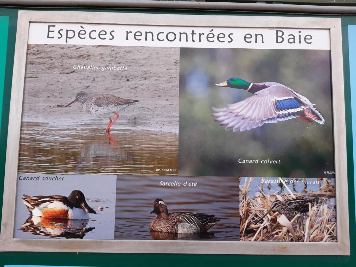 Les Obiones, Fort Mahon Plage, magnifique studio cabine 4p vue latérale mer avec balcon , parking privé gratuit, wifi, classé 2 étoiles, exposition plein sud en Baie de Somme Esterno foto