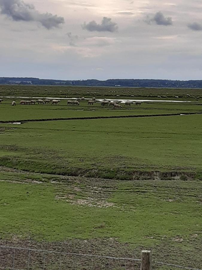 Les Obiones, Fort Mahon Plage, magnifique studio cabine 4p vue latérale mer avec balcon , parking privé gratuit, wifi, classé 2 étoiles, exposition plein sud en Baie de Somme Esterno foto